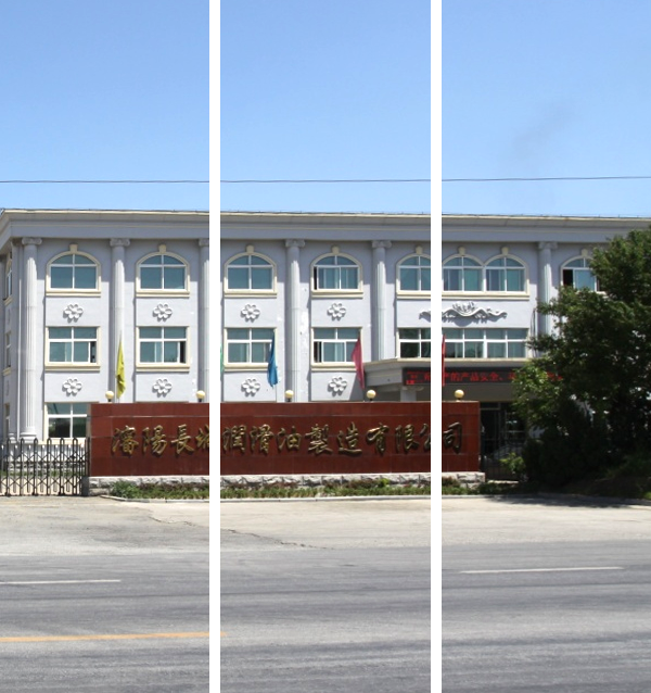 华体会hth·(中国)官方网站简介
